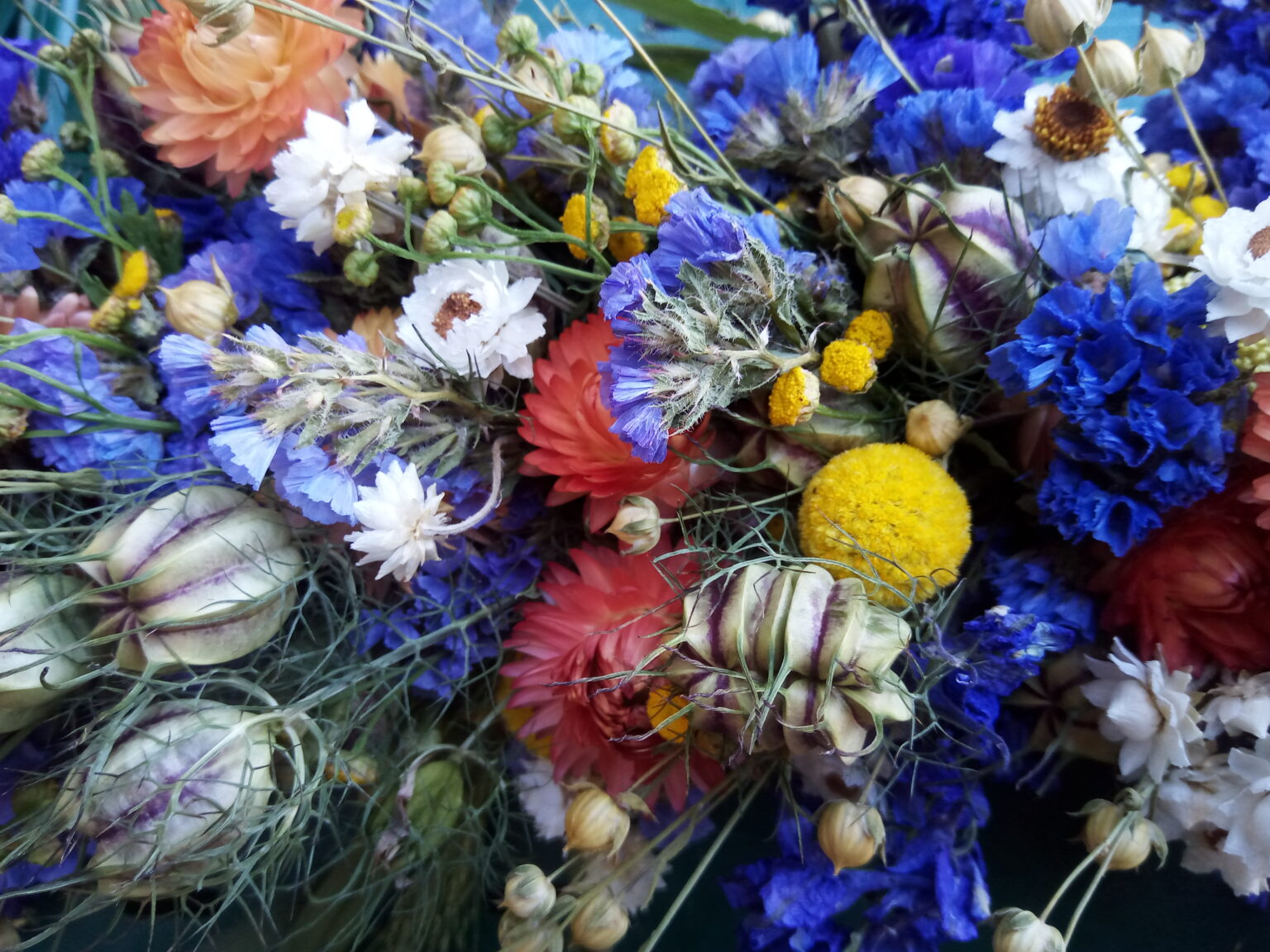 Bunter Strauß aus blauen Kornblumen, gestreiften Nigella-Samenständen und gelben Craspedia, von oben fotografiert