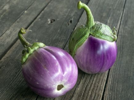 Aubergine ‚Lea‘
